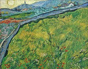 Enclosed wheat field with rising sun