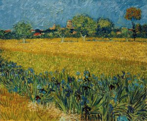 View of Arles with Irises in the Foreground by Vincent van Gogh