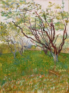 Blooming Orchard