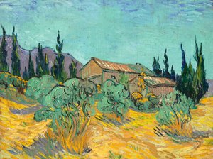 Wooden Huts Among Olive Trees and Cypresses