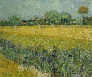 Field with Irises near Arles. May 1888