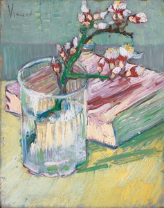 Flowering Almond Branch in a Glass with a Book