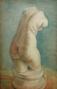 Plaster Torso (female) from the Back