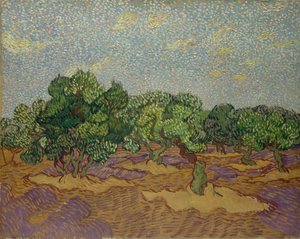 Olive Trees, 1889