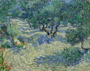 Olive Trees by Vincent van Gogh
