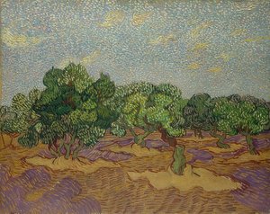 Olive Trees, 1889
