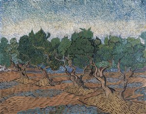 Olive Grove. 1889