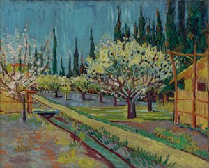 Orchard Bordered by Cypresses