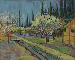 Orchard Bordered by Cypresses