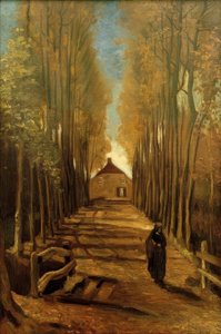 Poplar Avenue in Autumn