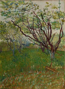 The Flowering Orchard