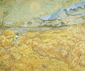 The Harvester