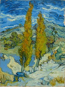 Two Poplars in the Alpilles near Saint-Rémy