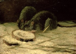 Two Rats by Vincent van Gogh