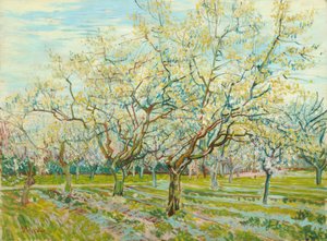 The White Orchard