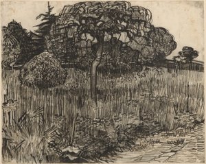 Weeping Tree by Vincent van Gogh