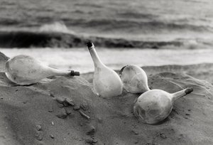 Flasks on the Beach by Vincenzo Balocchi