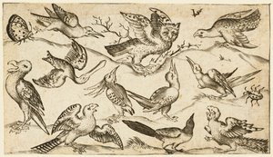 Eleven birds and two insects on minimal ground with owl with wings outstretched
