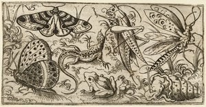 Group of Insects and Animals on a Plain Ground with Grass