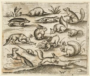 Group of Small Woodland Creatures Eating and Running Around a Pond, including a Mouse, 1557