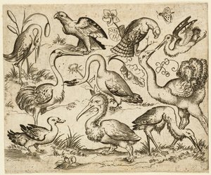 Ostrich on Left Side with Nine Other Birds, Including a Heron and a Pelican