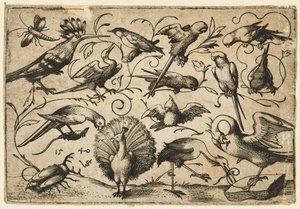 Ten birds on small foliage tendrils with a stork tying a tendril around a pelican’s leg