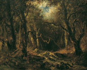 Forest Interior