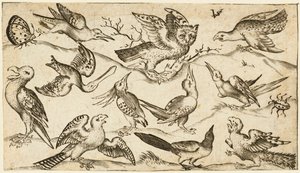 Eleven birds and two insects on minimal ground with owl with wings outstretched sitting on a branch in centre with other birds surrounding and teasing owl, from Douce Ornament Prints Album I, after 1572