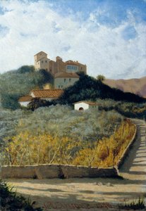 View of Volognano by Vito d