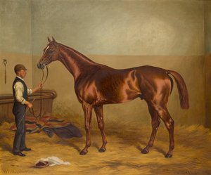 Sir Hugo as a three-year-old held by Groom in a Stable by W.H. Hopkins