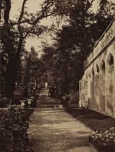 Orangery and Flower Garden at Singleton, Glamorganshire