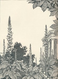 Illustration to A Midsummer Night