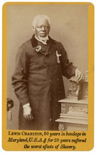 Lewis Charlton, 1884 by W. J. Chapman