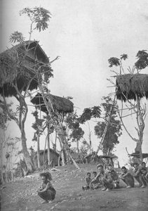 Dobos, Tree Houses for Unmarried Women in Melanesia, 1902 by W. Lindt