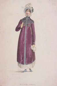 A Woman in a Walking Dress