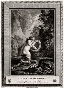 Cadmus and Hermione, Metamorphosed into Serpents by W. Walker