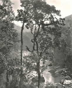 View of the Kelani River, Kurunegala, Ceylon