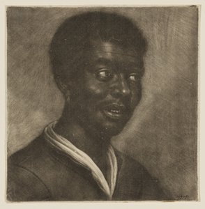 Head of a Black Man by Wallerant Vaillant