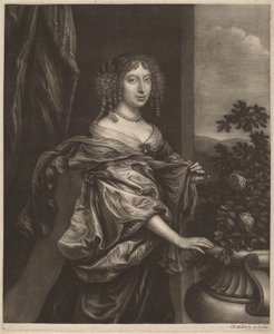 Portrait of a Lady beside a Rose Bush by Wallerant Vaillant