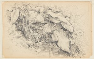 Study of Grass and Plants by Walter Clark