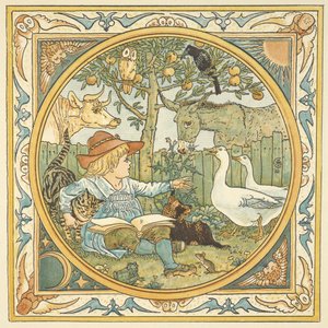 Colour illustration for 