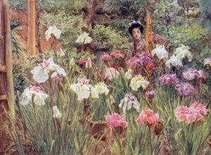 Specimen Irises by Walter Frederick Roofe Tyndale