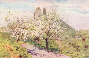 Wessex: Spring in Wessex by Walter Frederick Roofe Tyndale