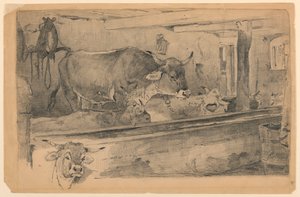 Cattle Study for Sheep-Shearing by Walter Shirlaw