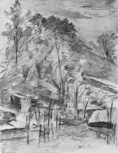 Trees and Stream