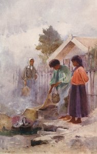 Cooking in a Hot Spring