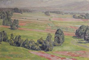Fields at Mattsee