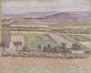 Hilly Landscape
