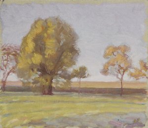 Landscape
