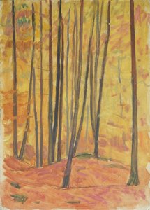 Forest Interior